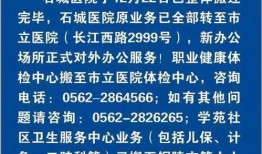 石城最新爆料,最新爆料背后的惊人真相