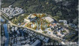 信宜爆料新闻最新,揭秘某重大事件背后真相