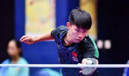 乒乓球明星爆料最新消息,揭秘赛场背后的惊人真相！”