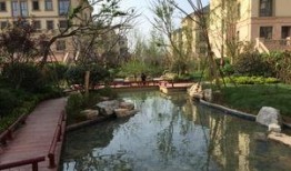 邹城鲁香山最新爆料,揭秘鲁香山神秘面纱背后的故事