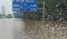 涿州洪水最新爆料信息网,实时追踪灾情，共筑抗洪防线