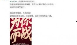 石城最新爆料,最新爆料背后的惊人真相