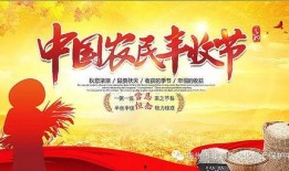 农村节目爆料大全最新,真实农村生活大起底