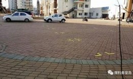 家园小区爆料视频最新版,惊人真相曝光！