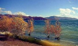 大理新闻最新爆料,最新爆料事件深度解析