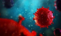 新冠病毒变异最新爆料,突变株肆虐，全球抗疫面临新挑战