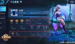 王者ksg最新爆料,王者峡谷神秘英雄KSG即将登场！