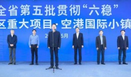 合肥作家爆料新闻最新报道,最新爆料新闻揭秘