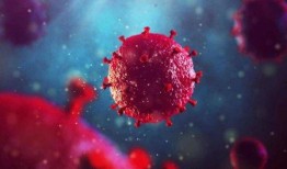 新冠病毒变异最新爆料,突变株肆虐，全球抗疫面临新挑战