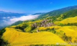 深圳自驾游最新爆料,探寻城市周边秘境与美食之旅