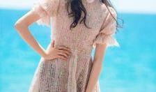 关晓彤家最新爆料,揭秘明星家庭背后的故事