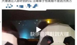 刘大锤最新爆料直播全部,最新爆料内容大汇总