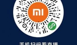 十周年最新爆料视频大全,十周年最新爆料视频大全精彩回顾