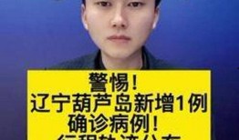 新主播爆料最新新闻报道,最新新闻报道大揭秘！