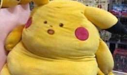 智慧皮卡丘最新爆料,揭秘神奇宝贝世界的未来动向