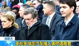 多伦多最新爆料新闻事件,最新新闻事件引发社会热议