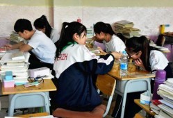 礼嘉中学爆料案件最新,真相揭开，校园安全再引关注