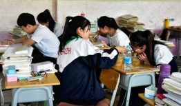 礼嘉中学爆料案件最新,真相揭开，校园安全再引关注