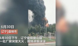 辉南县媒体爆料事件最新,揭秘当地重大事件背后真相